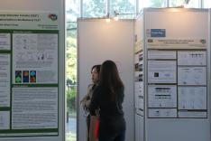 IBS Conference - Poster