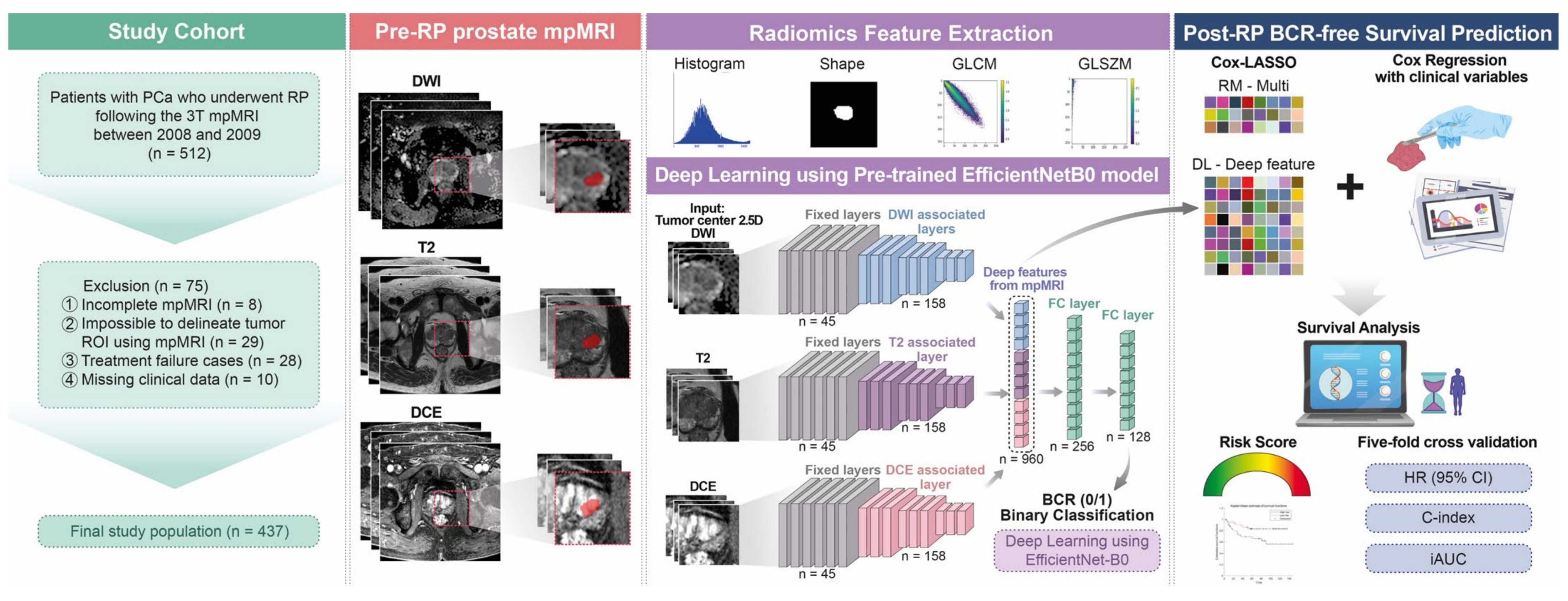 Novel multi-parametric magnetic resonance imaging-based deep learning and clinical parameter integration for the prediction of long- term biochemical recurrence-free survival in prostate cancer after radical prostatectomy 이미지