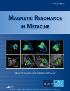 Rapid three‐dimensional steady‐state chemical exchange saturation transfer magnetic resonance imaging image