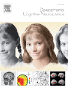 Decomposing complex links between the childhood environment and brain structure in school-aged youth image