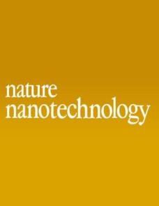 Stretchable colour-sensitive quantum dot nanocomposites for shape-tunable multiplexed phototransistor arrays image