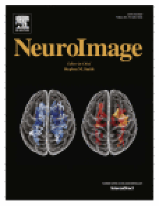 Micapipe: A pipeline for multimodal neuroimaging and connectome analysis image