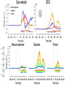 Motor-effector dependent modulation of sensory-motor processes identified by the multivariate pattern analysis of EEG activity image