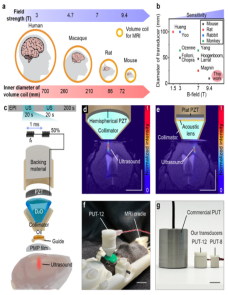 Miniaturized MR-compatible ultrasound system for real-time monitoring of acoustic effects in mice using high-resolution MRI image