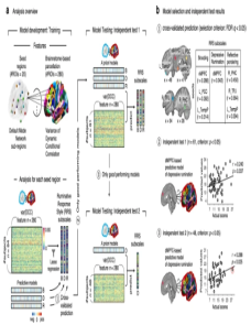 A Dorsomedial Prefrontal Cortex-based Dynamic Functional Connectivity Model of Rumination image
