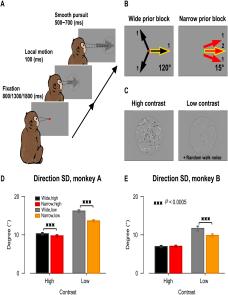 Prior expectation enhances sensorimotor behavior by modulating population tuning and subspace activity in sensory cortex image