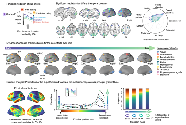 (1) Affective Neuroscience (Associate Director Choong-Wan Woo)