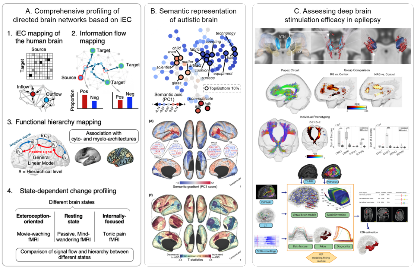 (3) Computational Neuroscience (Collaborating with Seok-Jun Hong)