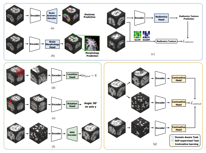 (4) Machine Learning (Collaborating with Hyunjin Park)
