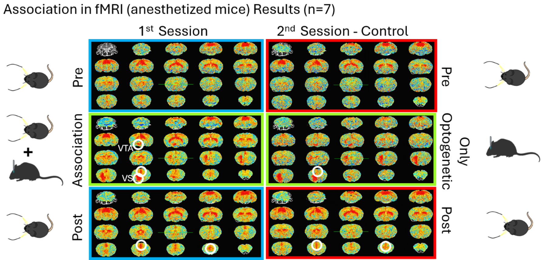 (2) Neural substrates of associative learning in the prefrontal cortex (Collaborating with HyungGoo
        Kim)