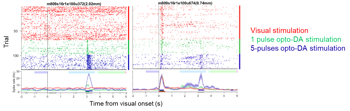 (2) Neural substrates of associative learning in the prefrontal cortex (Collaborating with HyungGoo
        Kim)
